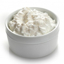 Queso 3