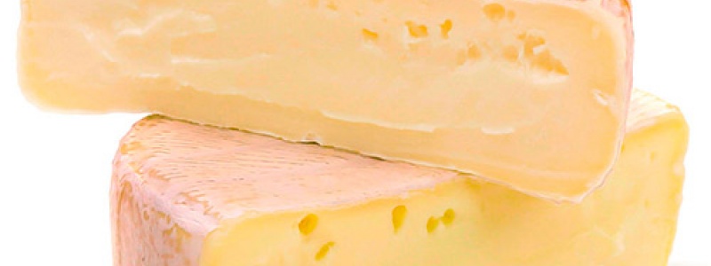 Queso de Oveja